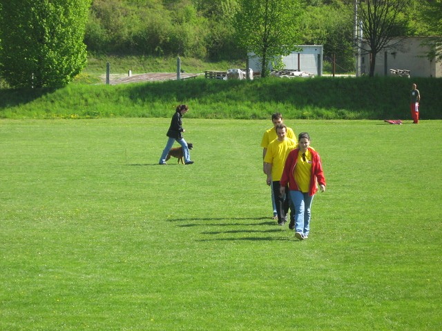 www.atibox.net * www.euroboxer.eu * www.boxergenealogia.eu